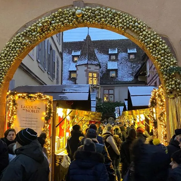 Domaine La Cour Des Nobles - Demeure, Maison et Appartements au coeur de Riquewihr, hotel in Riquewihr