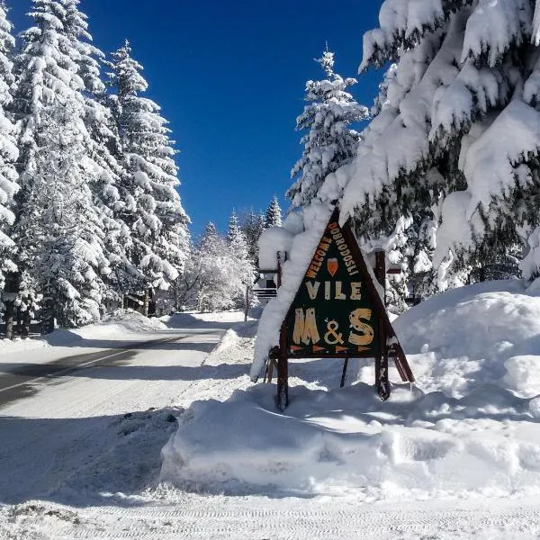 Planinske Vile M&S, ξενοδοχείο στο Κοπαόνικ
