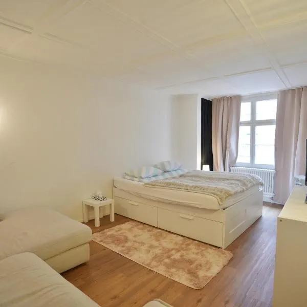 Cozy City Center, 4 bedroom- 120sq, 5min walk to Main Station, hotel v Basileji