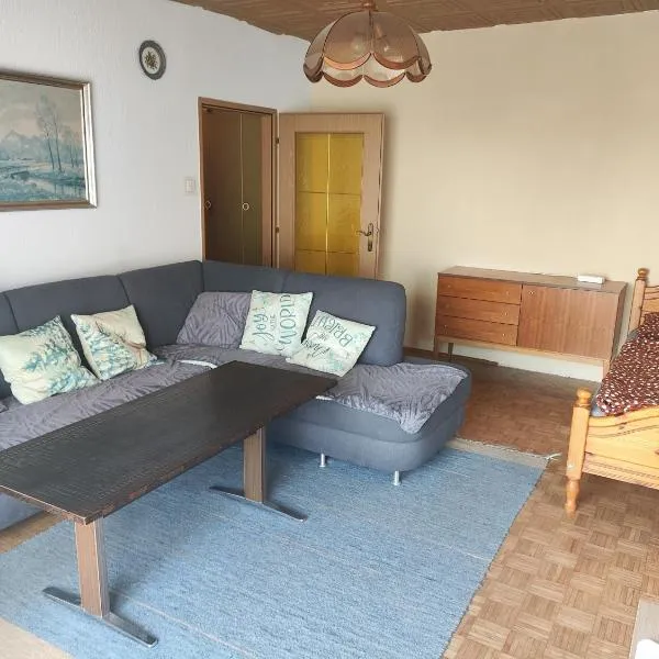 Traun Apartment, hotel in Linz