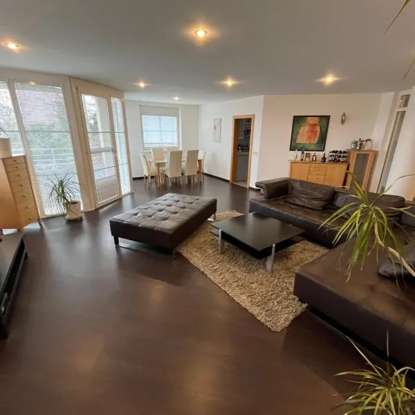 Butterfly Residence 165m2 Spacious Apt 4 Parking Gym, hotel in Bratislava