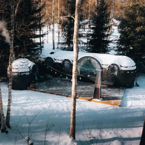 Pedaspä Igloo House and Sauna, hôtel à Pedaspea