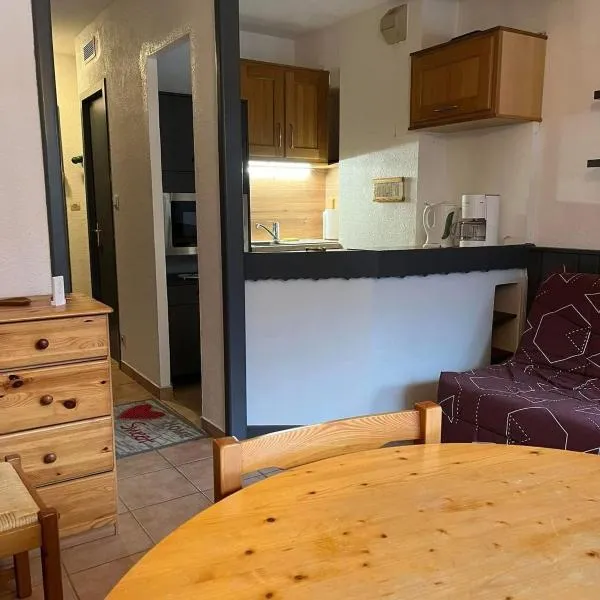 Studio en station avec 1 canapé-lit et 1 lit-superposé – hotel w mieście Bellevaux