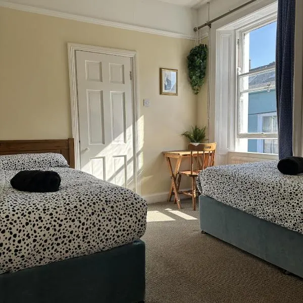 The Grapevine Hostel，位于丁格尔的酒店