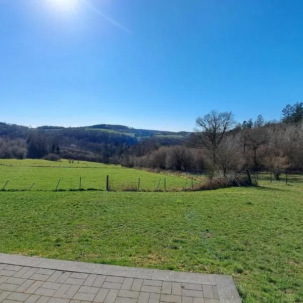 Am Hohestein, hotel in Briedeler Heck