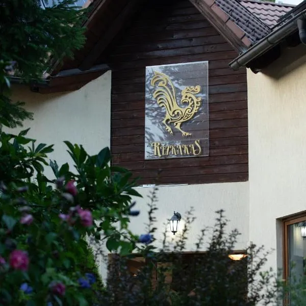 Pensiunea Rezkakas, hotel v destinaci Bálványos