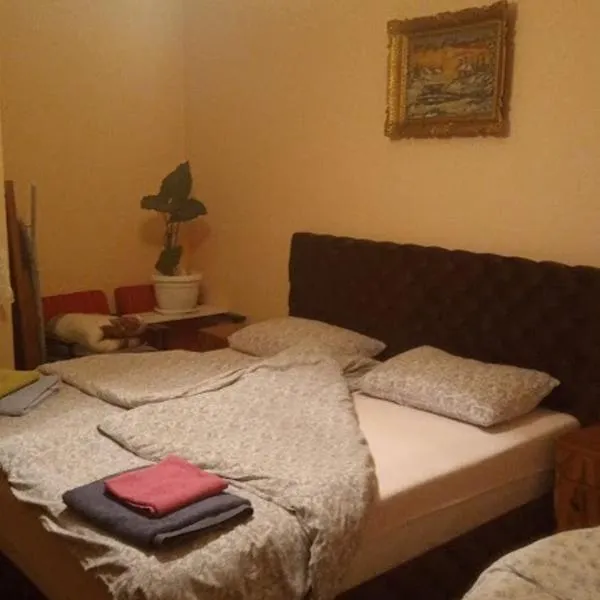 ,,Vruć Vetar,,, hotel v destinaci Majdanpek