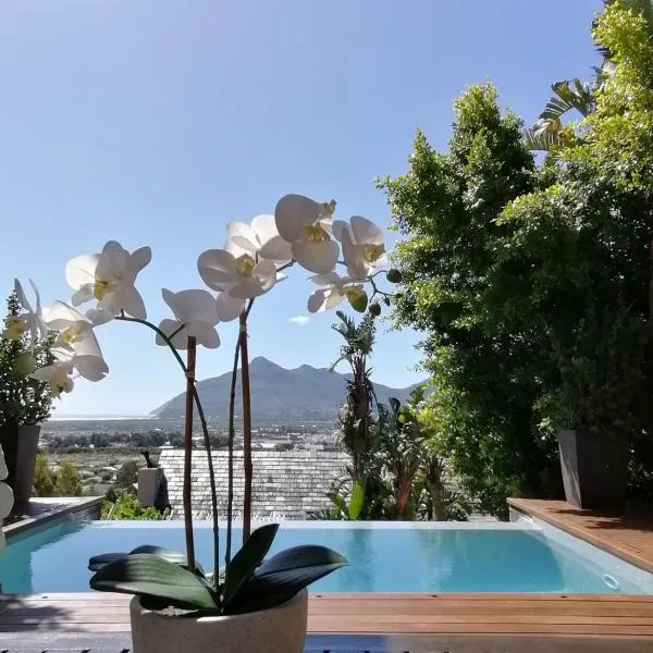 African Violet - Terraces, hotel v destinaci Noordhoek