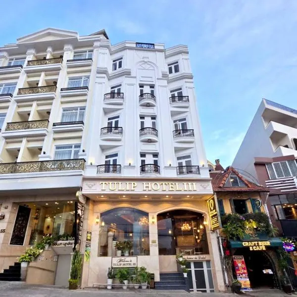 Tulip Hotel 3, hotel in Da Lat