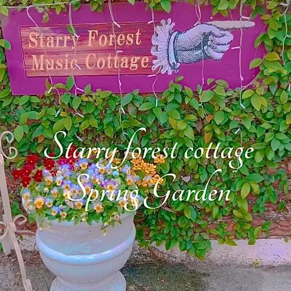 猫とピアノと星空のリゾートブティックコテージ -Starry Forest Cottage Okinawa-, Hotel in Onna
