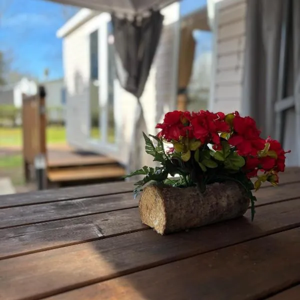 Oléron La Cotinière Camping Nature & Calme, Piscine, Plage à 150m、ラ・コティニエールのホテル