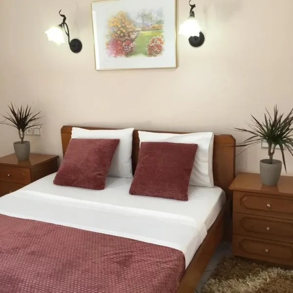 Hotel Triantafyllou, hotel in Káto Tithoréa