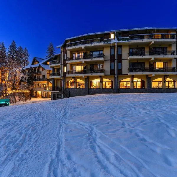 Hotel Casa Viorel jacuzzi & saunas, hotel in Poiana Brasov