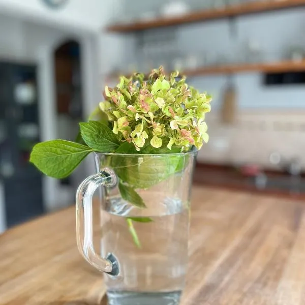 Casa taller, Hotel in Tigre