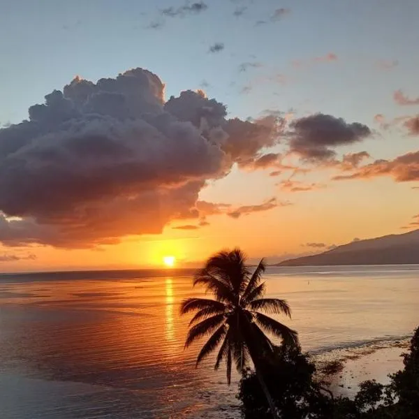 Maui Homestay Vue Océan Exceptionnelle & Baleines en Saison, hotel a Tohautu