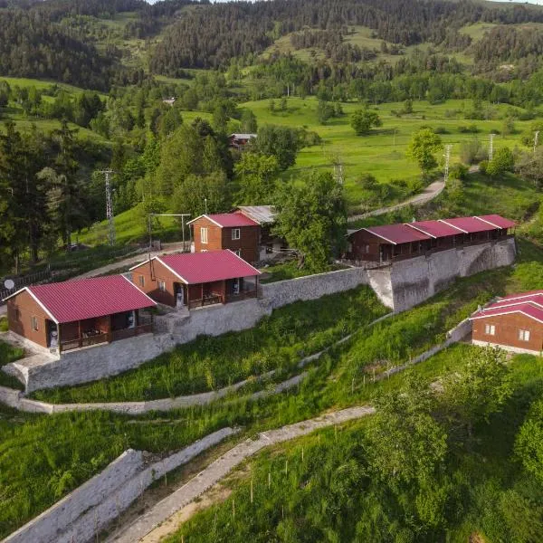 Danzot Tatil Köyü ve Restoran, hotel u gradu 'Artvin'