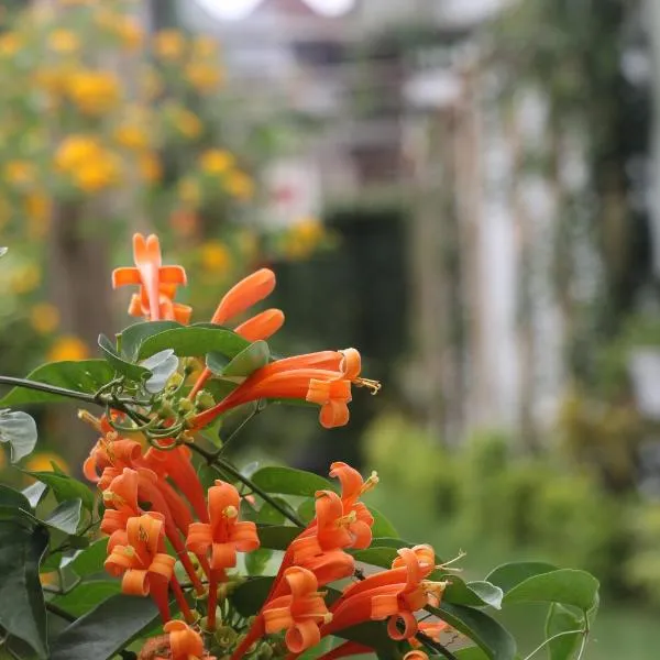 At Home Suites, Moshono Garden Arusha, Hotel in Nkoanrua