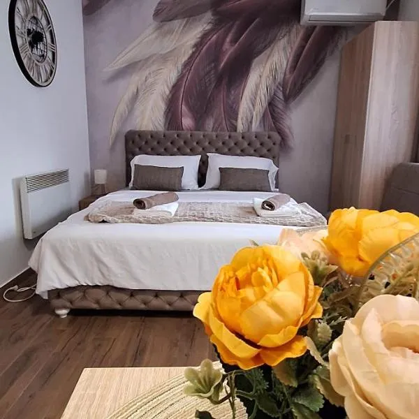 Soko Bajka 1,位于索科矿泉村的酒店