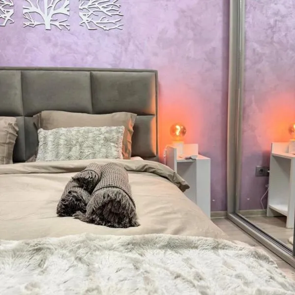 Elegant Old Town Escape，位于布加勒斯特的酒店