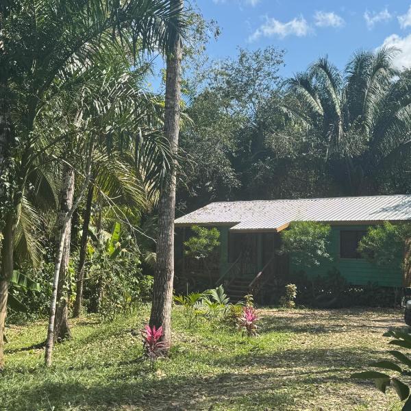 Stunning Jungle Refuge Close to Town, Bullet Tree Falls