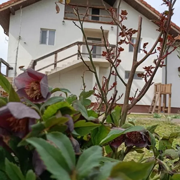 Casa Gheorghe、Balabanceaのホテル