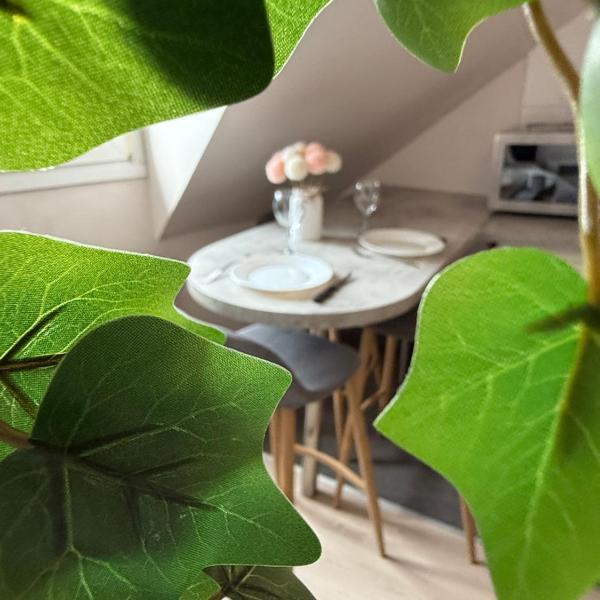 Appartement Strasbourg Centre, Страсбург