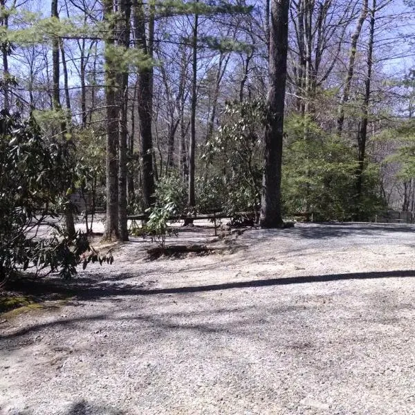 Linville Falls Campground, RV Park, and Cabins、Linville Fallsのホテル