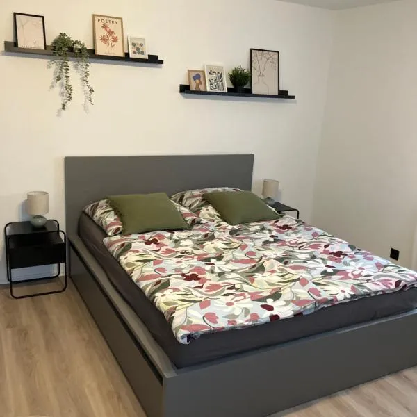 Apartment Anna, hôtel à Inzigkofen