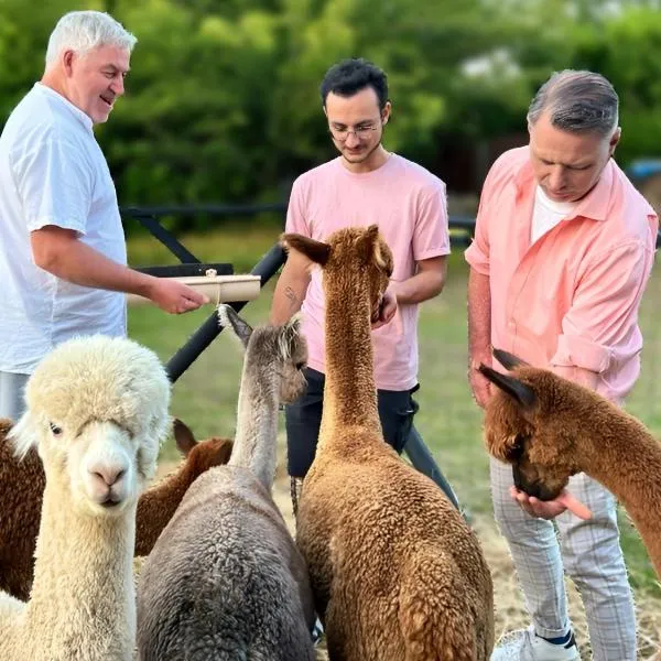 Nana Mac Chambre D'hôtes, Hotel in Limalonges