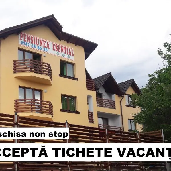 Pensiunea Esential, hotel v destinaci Ocnele Mari