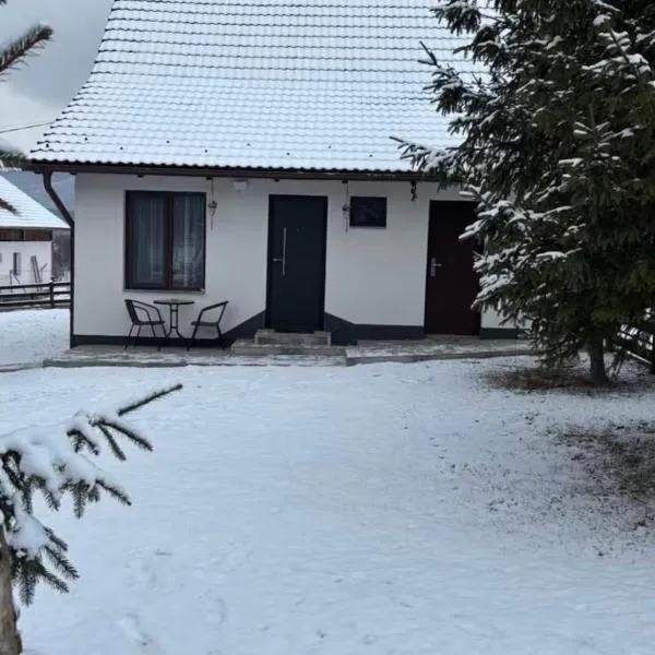 Margaréta kulcsosház, hotel in Sub Cetate