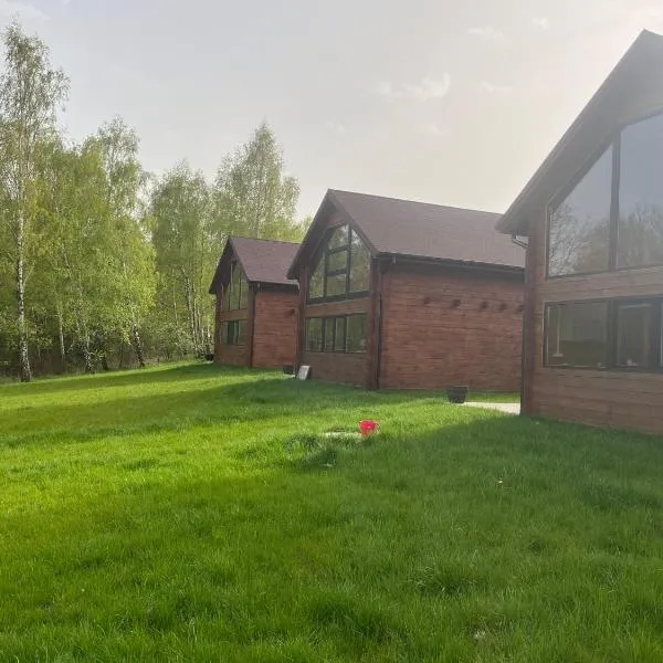 w Niesiołowie, hotel in Chodecz