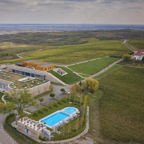 Domeniul Vila Dobrusa - Crama AVINCIS, hotel in Drăgăşani