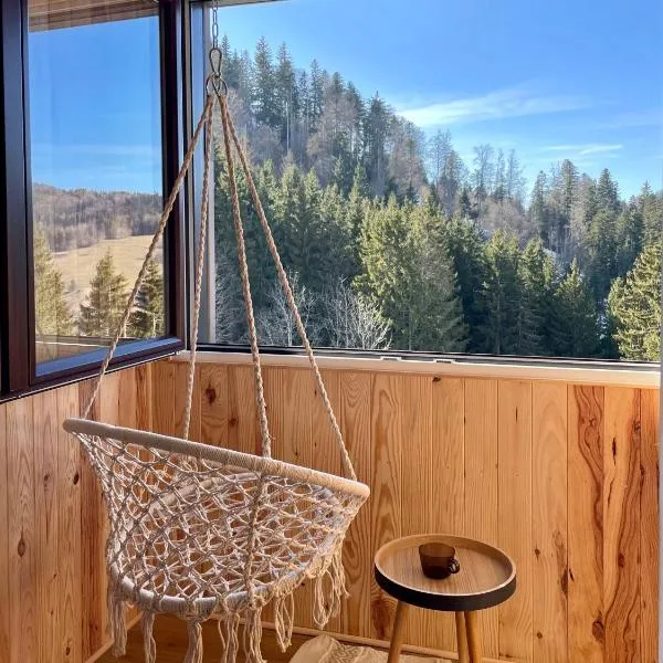 Studios cosy au pied des pistes、ベルヴォーのホテル