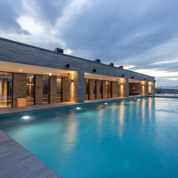 Tsinandali Estate, A Radisson Collection Hotel, khách sạn ở Tsinandali