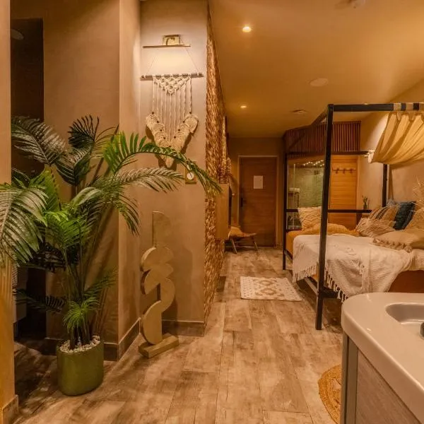 Pandora Spa Lille, hótel í Lille