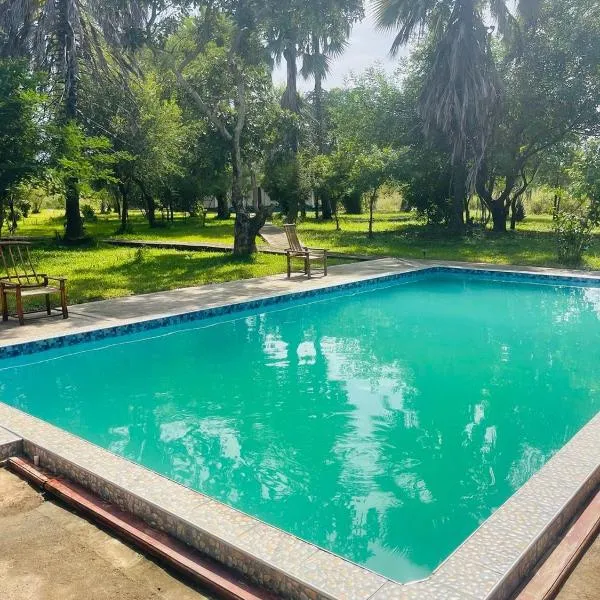 Royal South Luangwa Safaris Lodge, hotel in Mfuwe