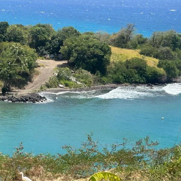 Palmetto Bay Paradise, hotel v Trinity