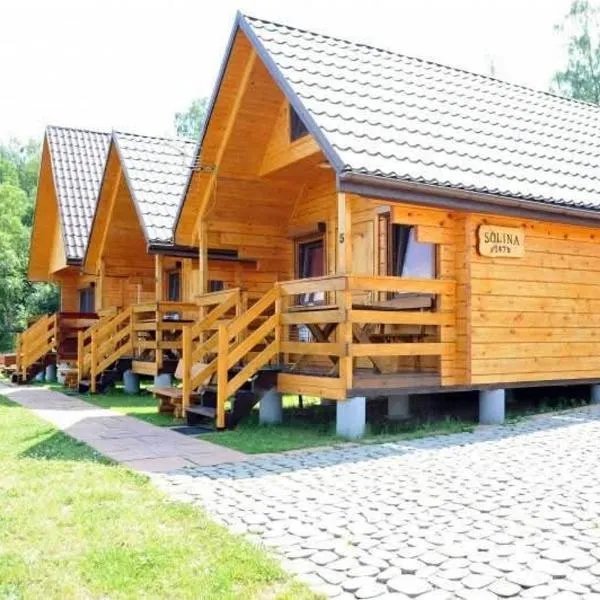 Domki PIĘKNY WIDOK, hotel in Solina