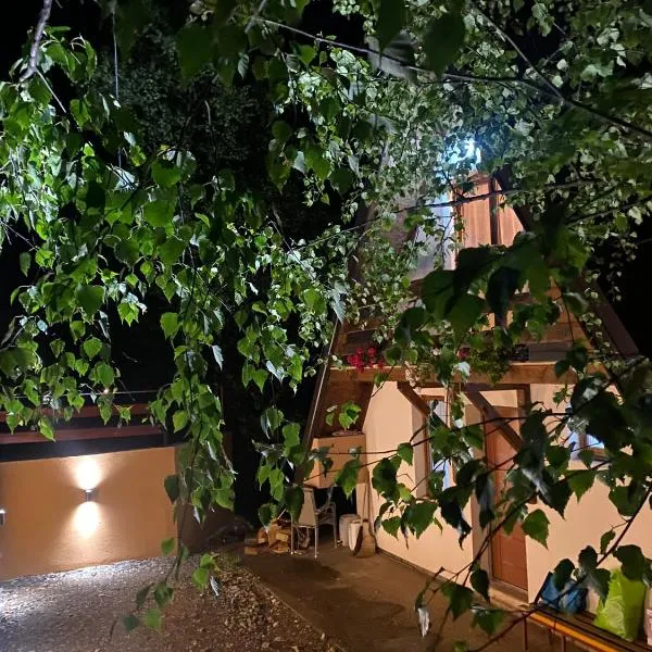 Vikendica Stojanović，位于Mionica的酒店