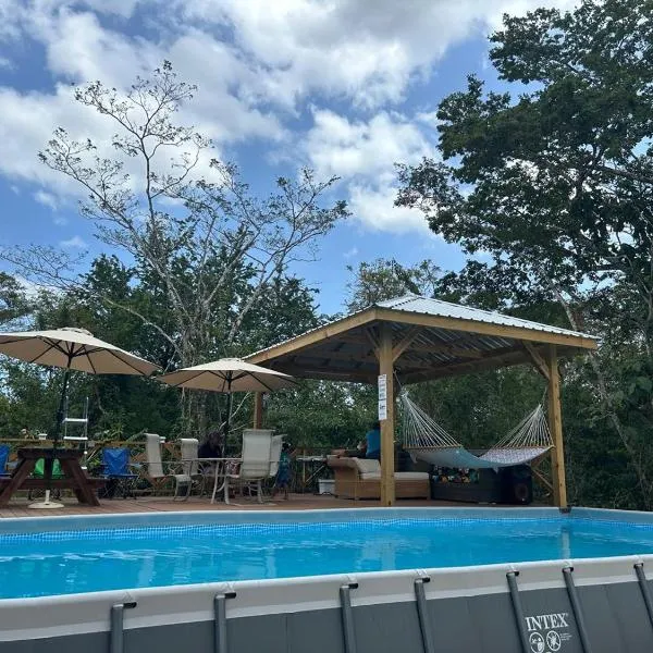 The Howler Jungle House and Cabanas, hotel in Belize City