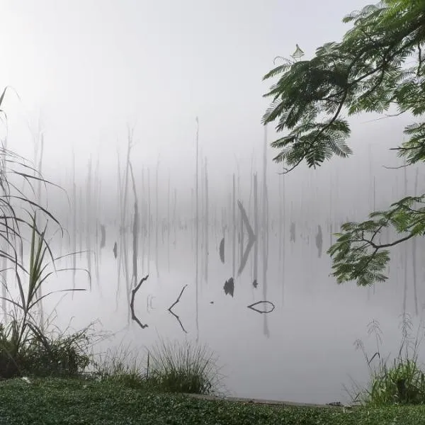 Maison en bord de rivière, hotell i Mana