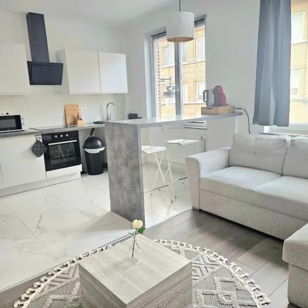 Brussels apartment with terrace 1, hotel v Bruselu