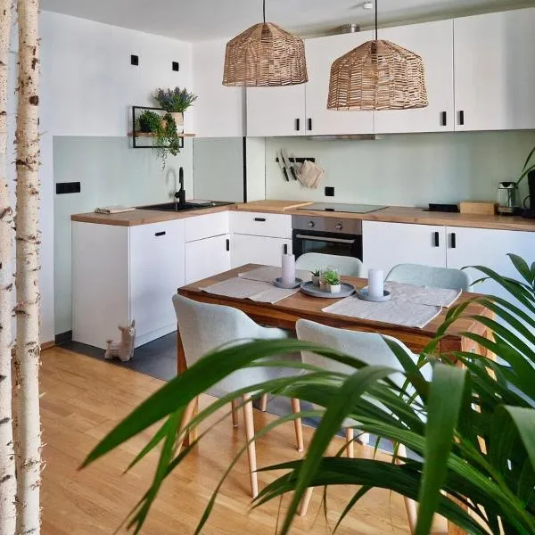 Großzügiges Studio-Apartment, hotel in Dresden