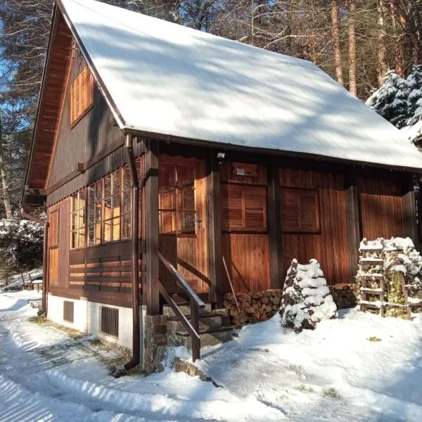 Chata Všemily, hotel en Jetřichovice