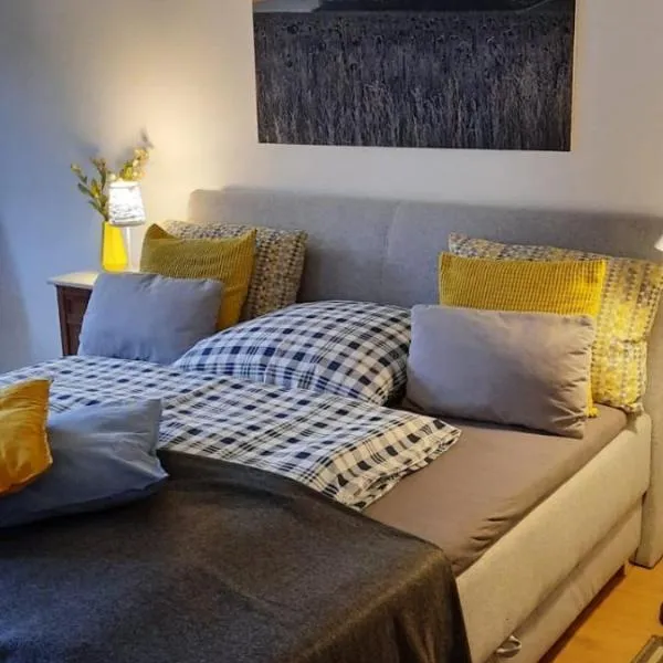 Schönes Zimmer mit Küche und Bad im Taunus, hotel in Waldsolms