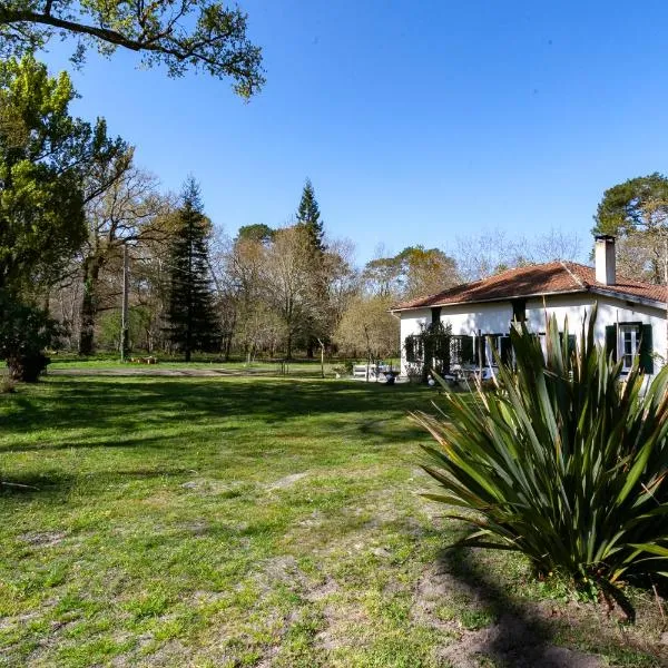 Domaine forestier Darricau au bord du lac, 12 min de l'océan, hotel in Aureilhan