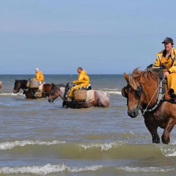 Appartement 1 chambre Twenty One Vue imprenable sur la mer, hotel v destinaci Koksijde