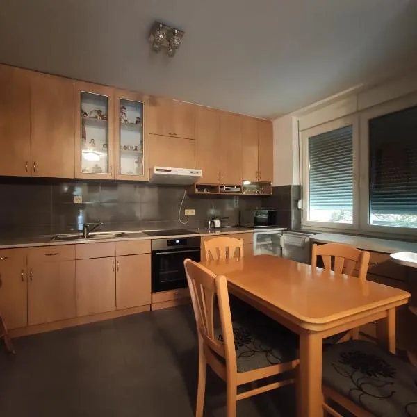 VILA RUŽA - Grand apartman 1, hotel en Soko Banja