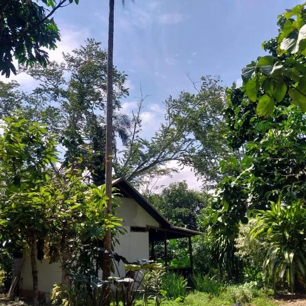 JARDIN DE LAS MUSAS、プエルト・マルドナードのホテル